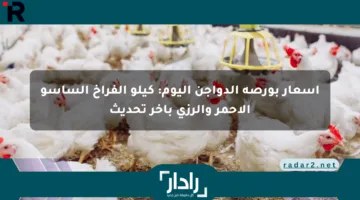 أسعار بورصة الدواجن اليوم: كيلو الفراخ الساسو الأحمر والرزي بآخر تحديث